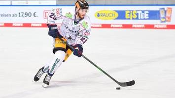 Eisbären Berlin nach Partie gegen Straubing wieder auf Erfolgskurs